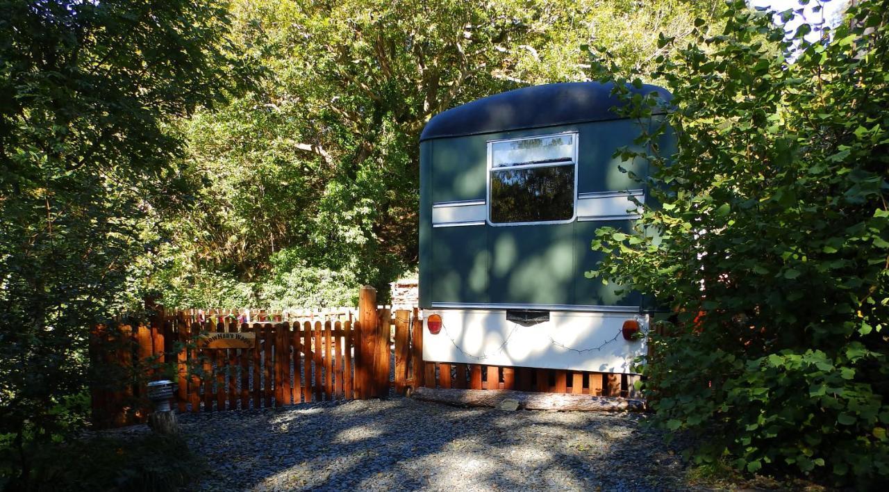 Showman'S Wagon At Coed Cae Penmaenpool Exterior foto